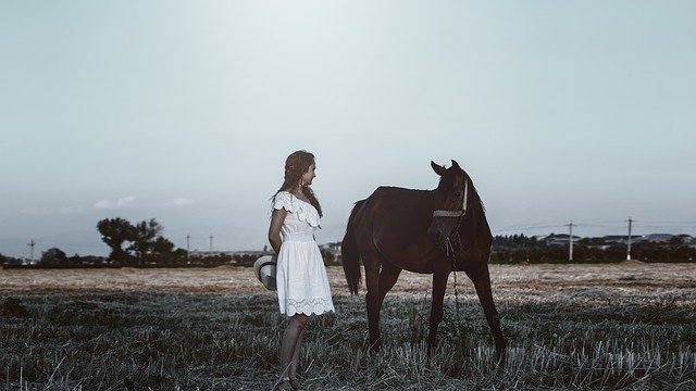 dívka s koněm